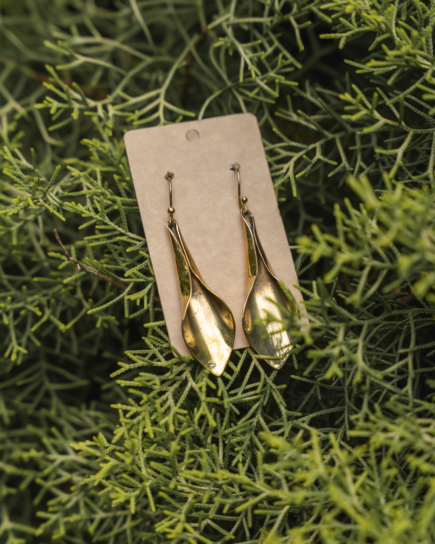 Leina petal brass earrings
