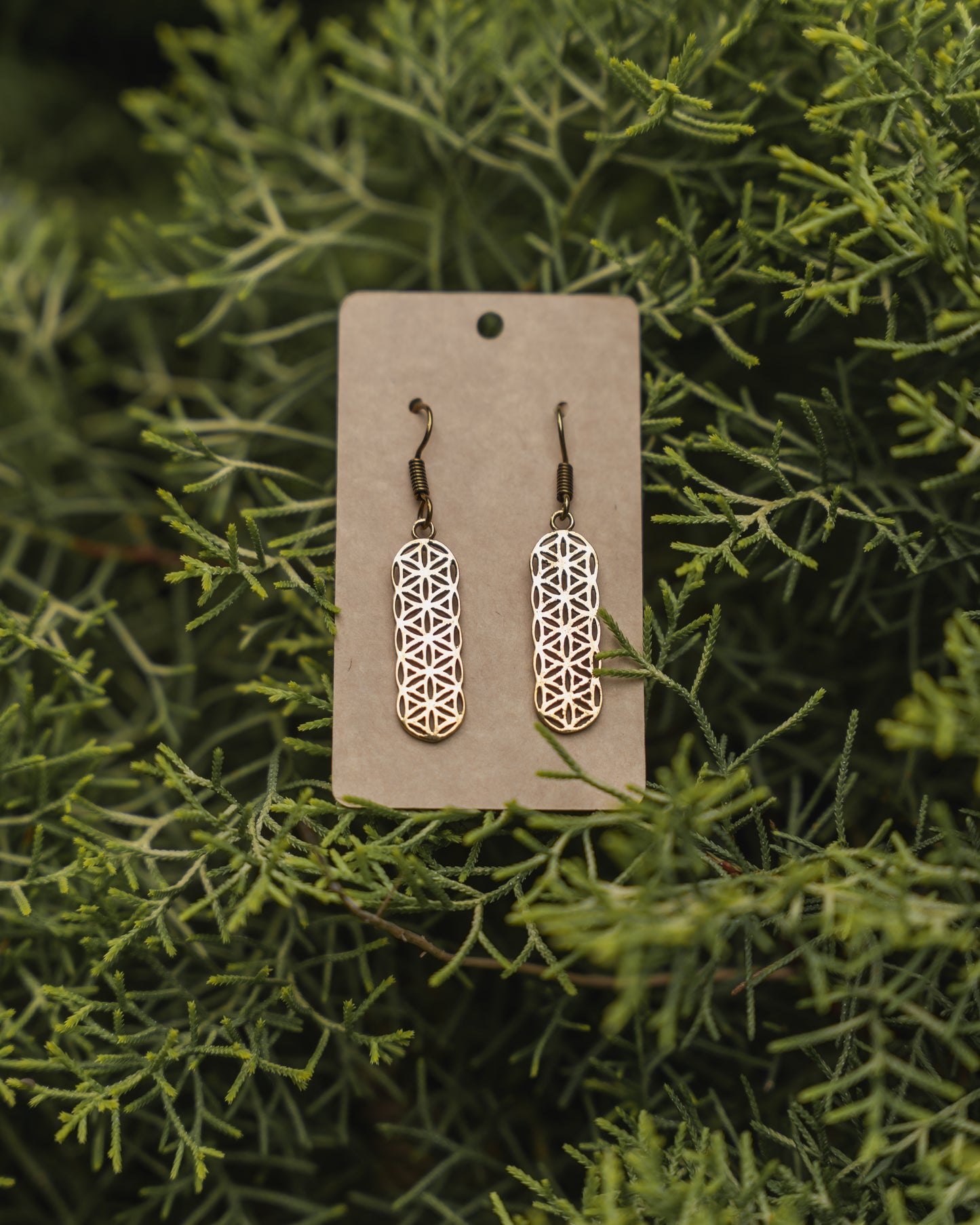 Seed of life brass earrings